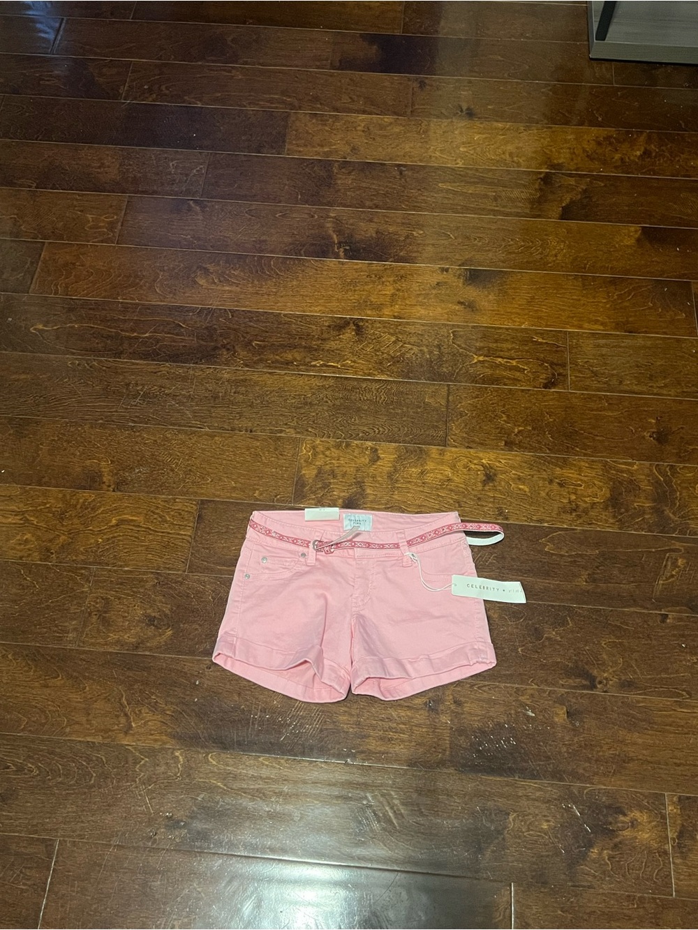 Celebrity Pink Light Pink Denim Shorts